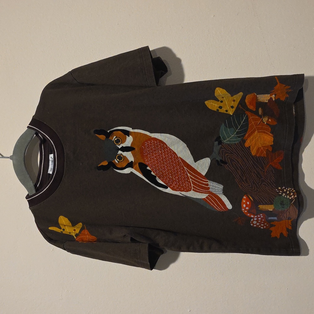 Dolce And Gabbana Brown Owl Graphic Kids Shirt Size 8